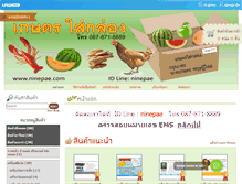Tablet Screenshot of ninepae.com